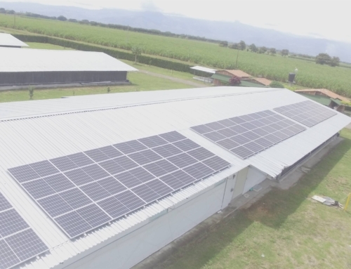 Proyecto AVICOLA MONTEOSCURO