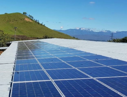 Proyecto AVICOLA LA IBAGUEREÑA